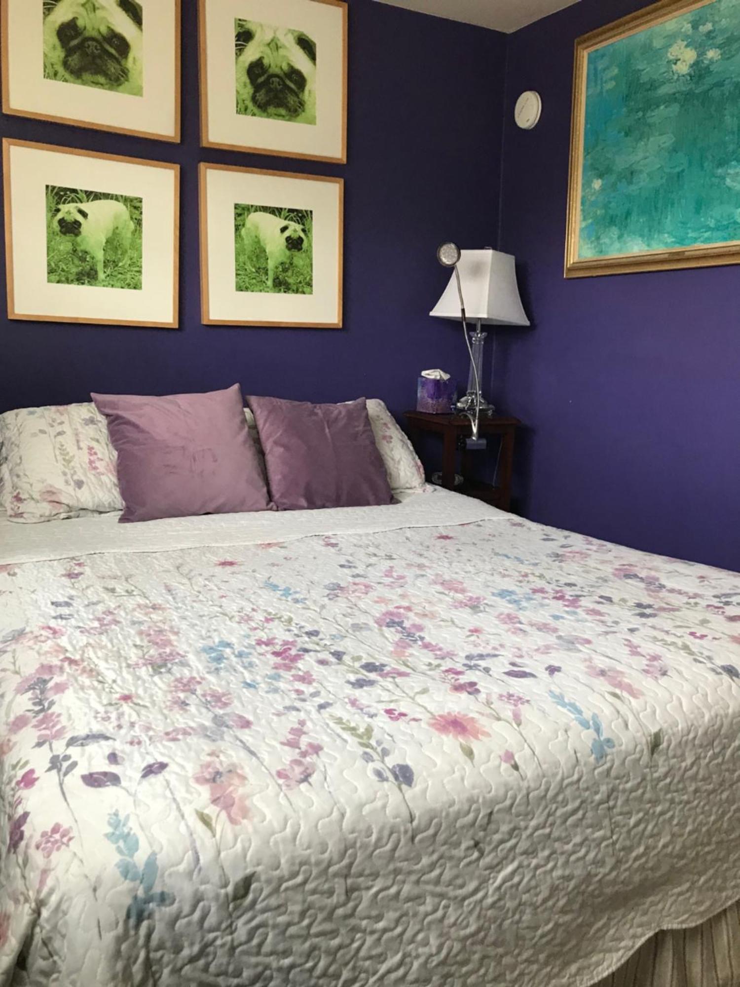 سان فرانسيسكو My Rosegarden Guest Rooms المظهر الخارجي الصورة